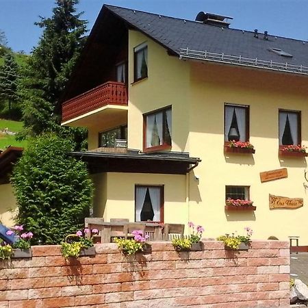 Ferienwohnung Sonnentraum - Appartement 5 Willingen Willingen  Ngoại thất bức ảnh