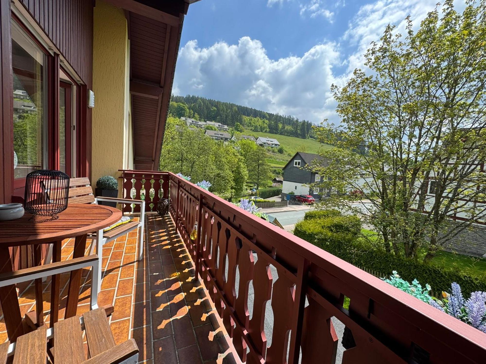 Ferienwohnung Sonnentraum - Appartement 5 Willingen Willingen  Ngoại thất bức ảnh