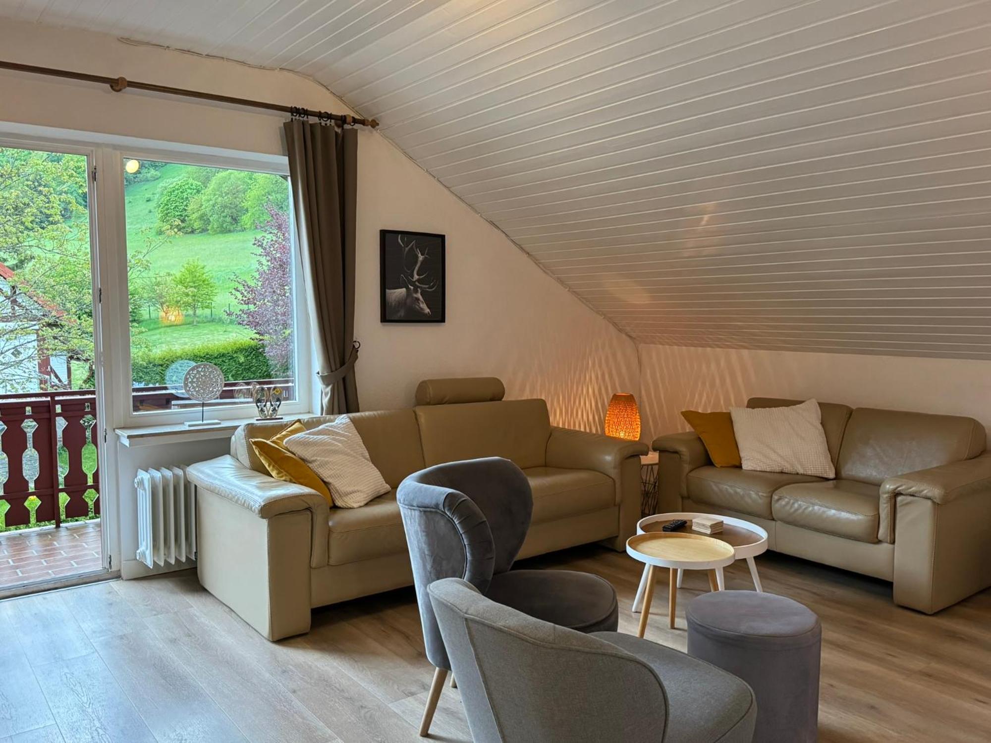 Ferienwohnung Sonnentraum - Appartement 5 Willingen Willingen  Ngoại thất bức ảnh